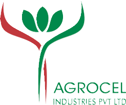 Trivedi Associates