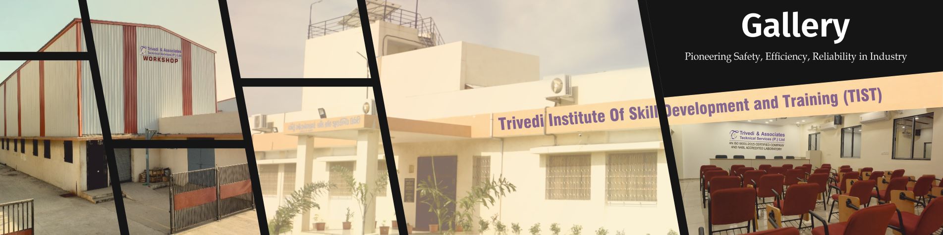 Trivedi Associates